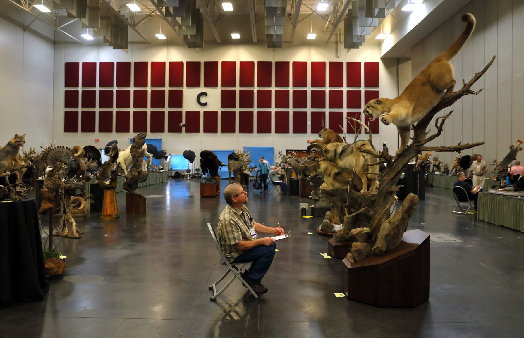 2019 World Taxidermy & Fish Carving Championships in Springfield, Mo.